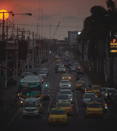 Pexels Photo 13768733