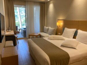 Book Now Pexels Photo 33400871 300x225